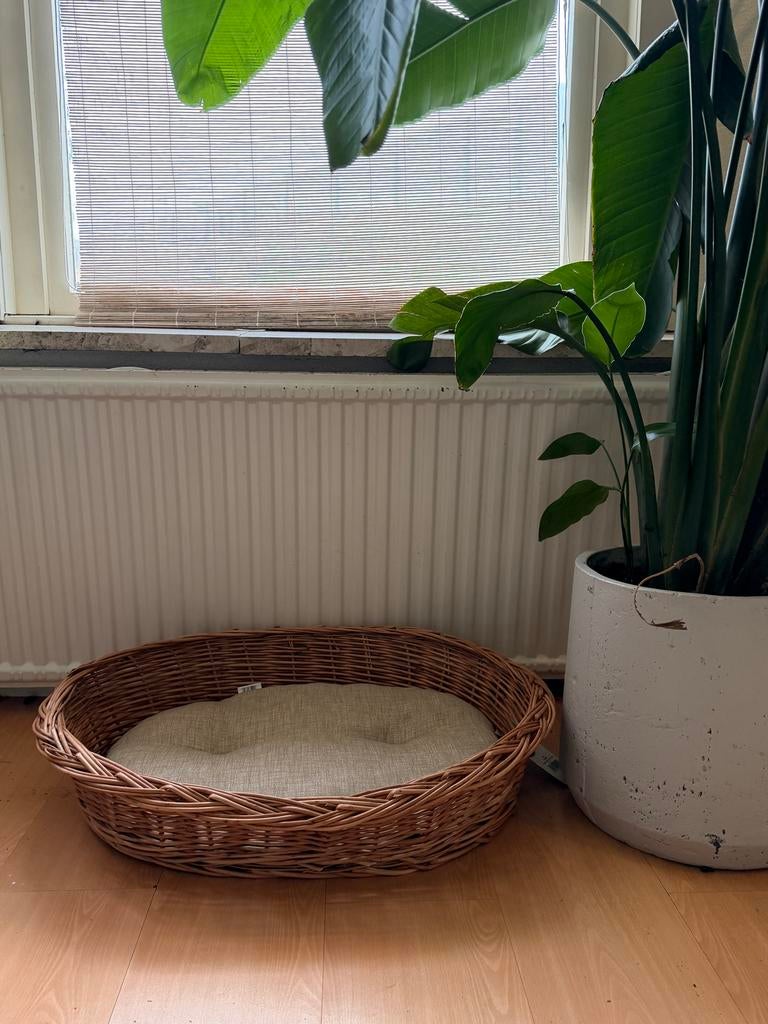 Rotan hondenmand met kussen, helemaal nieuw, 70 cm