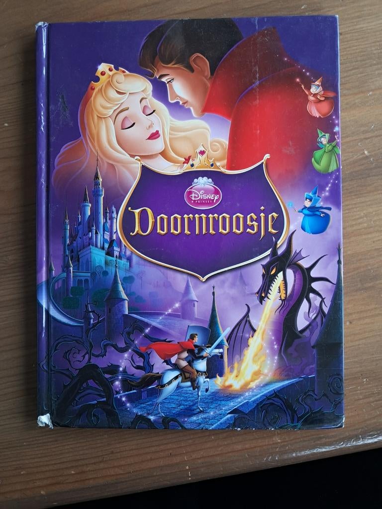 Doornroosje Disney Princess boek, Ophalen of Verzenden, Gelezen