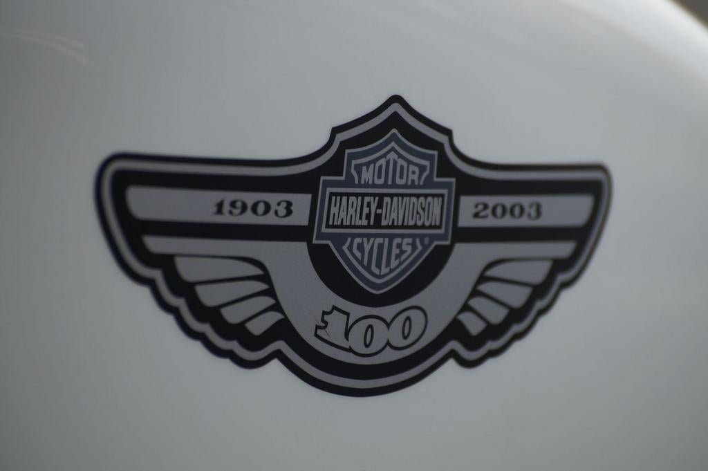 HARLEY-DAVIDSON SPORTSTER CUSTOM  XL 53 C (bj 2003) - foto 3