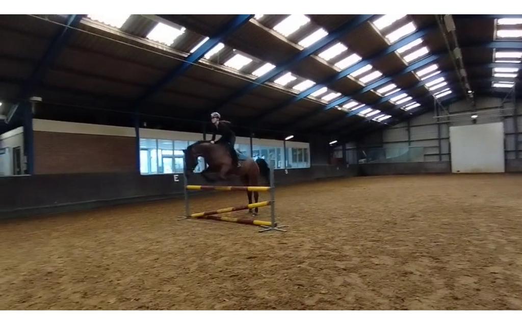 STALHULP/BIJRIJDER aangeboden!, Ophalen