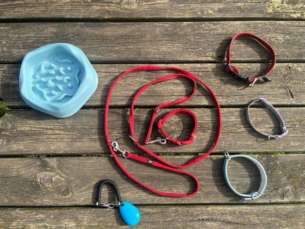 Benodigdheden voor puppy en-of kleine hondenrassen (pakket), Dieren en Toebehoren, Honden-accessoires, Ophalen of Verzenden, Zo goed als nieuw