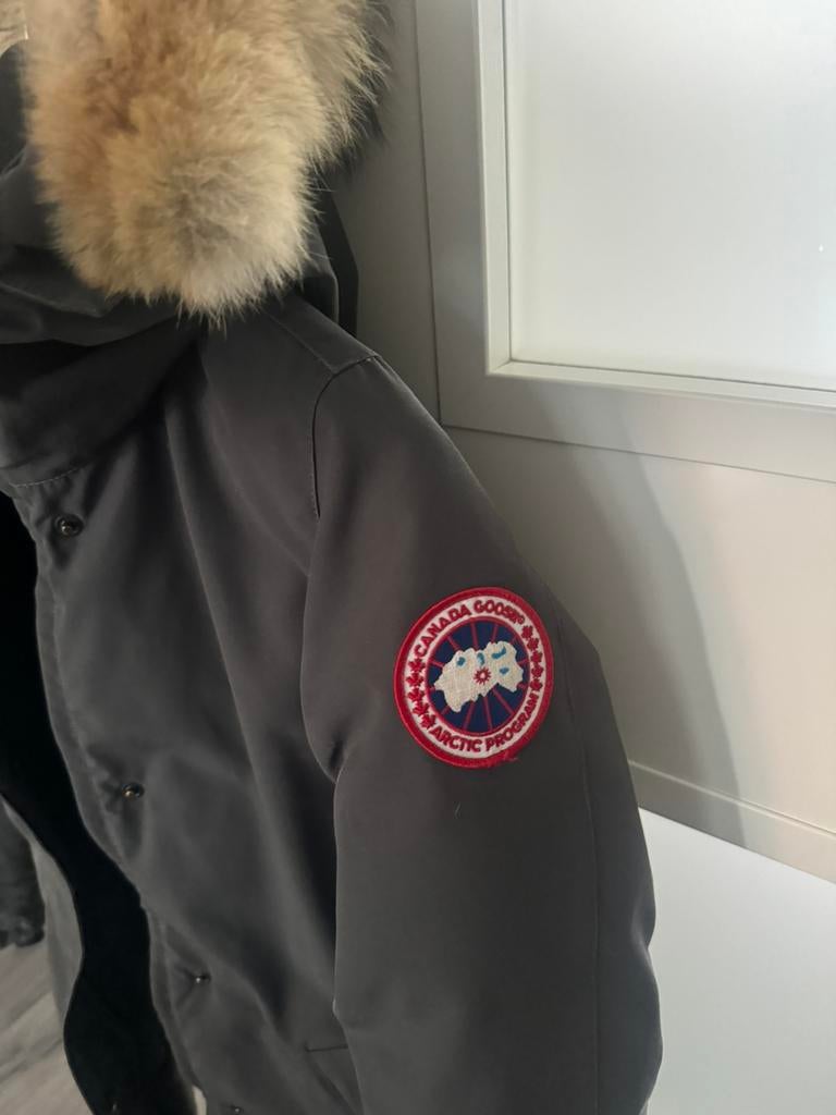 Canada goose dames XS, Kleding | Heren, Jassen | Winter, Ophalen of Verzenden, Gedragen, Maat 46 (S) of kleiner, Grijs