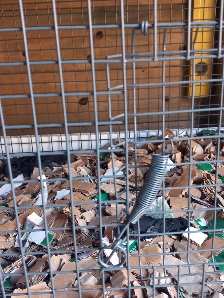 Dieren verblijf, Ophalen of Verzenden