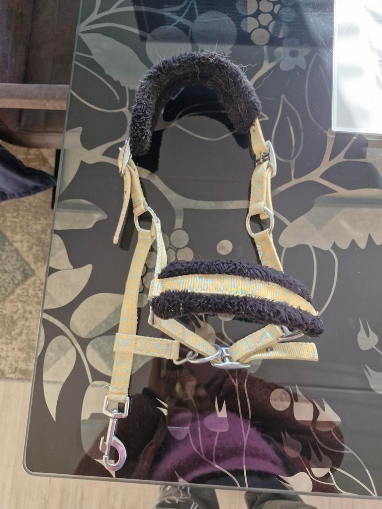 Halsters met touw, Ophalen, Overige soorten