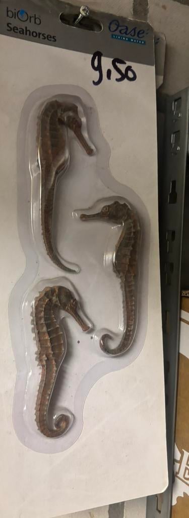 Nieuw: Biorb decoratie Seahorses! 9,50€, Ophalen of Verzenden, Zo goed als nieuw, Overige typen, Overige merken