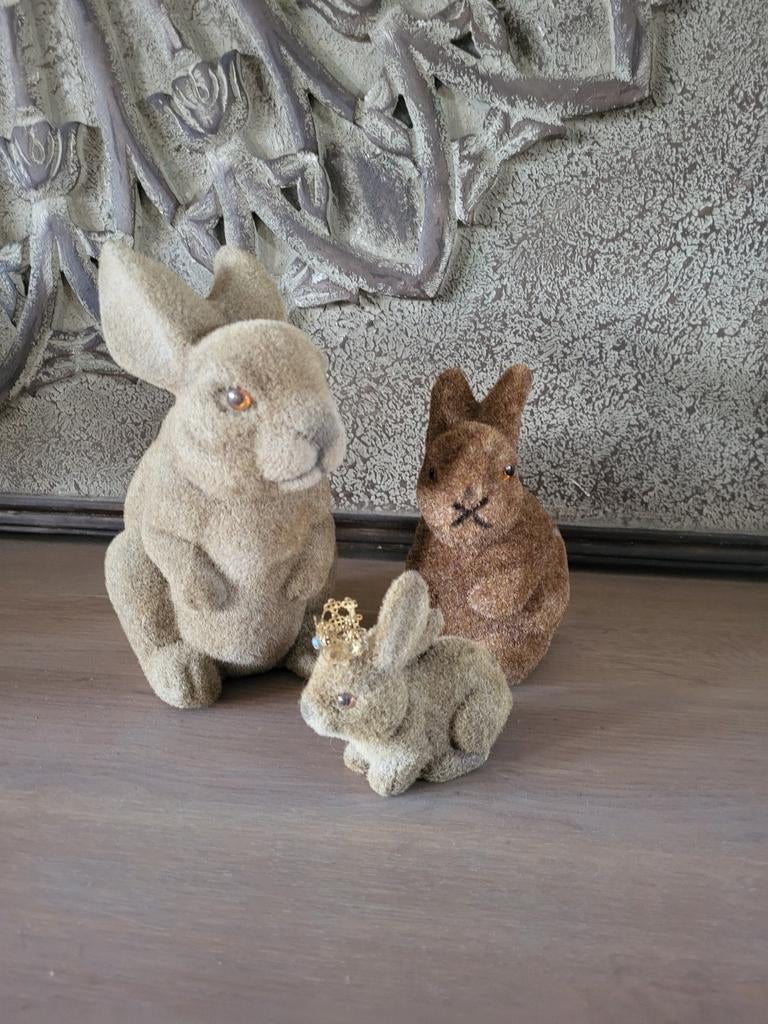 Hazen, Ophalen of Verzenden