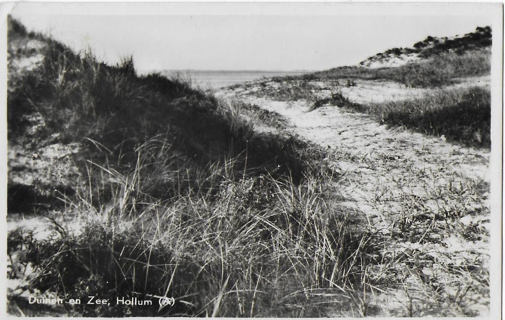 Hollum Zee en Duinen gelopen ansichtkaart ( 960 ), Ophalen of Verzenden, 1960 tot 1980, Gelopen, Friesland