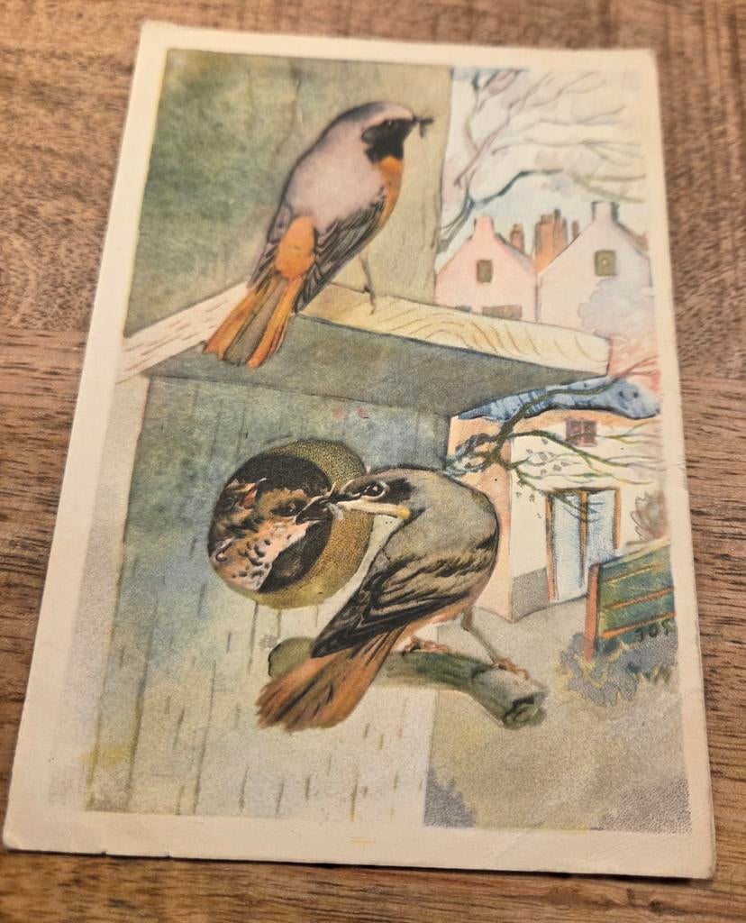 Roodstaart vogels bij vogelhuisje - Jos Ruting 1950, Verzenden, 1940 tot 1960, Gelopen, Overige thema's