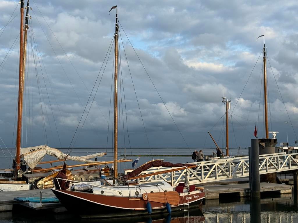 Tholense schouw Woeste Bertus 10 meter platbodem, Watersport en Boten, Kajuitzeilboten en Zeiljachten, Ophalen, Gebruikt, Staal