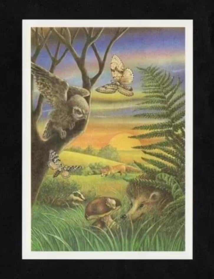 Fantasie Uil Egel Das Vos Nachtvlinder Aardappelbovist., Ophalen of Verzenden, 1980 tot heden, Ongelopen, Wild dier