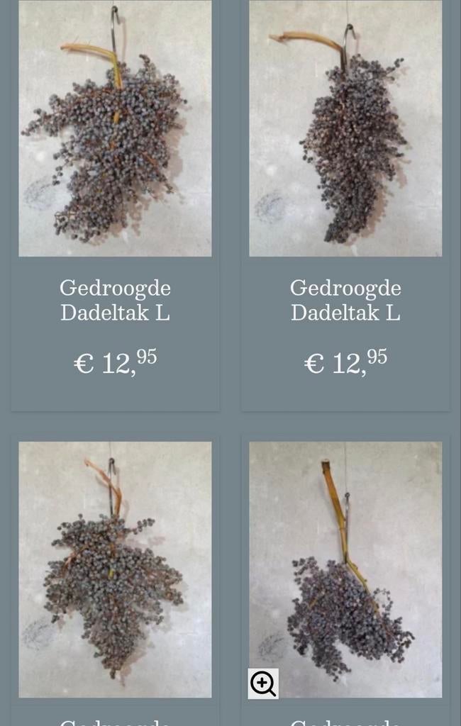 Gedroogde dadeltakken dadeltak, B, G, Nieuw, Ophalen of Verzenden