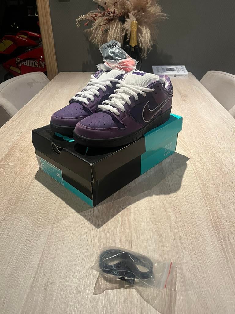 NIKE SB dunk low purple lobster NIEUW ORIGINEEL maat 46, Ophalen of Verzenden, Nieuw, Overige kleuren