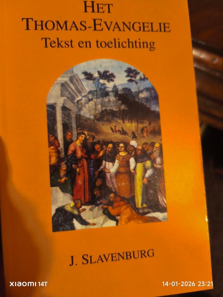 Het Thomas-Evangelie - Tekst en Toelichting, Boeken, Ophalen of Verzenden, Zo goed als nieuw, Overige typen