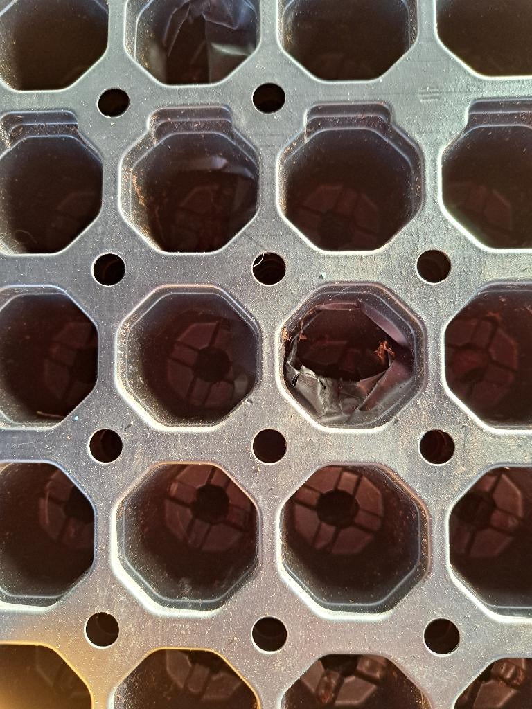 Professionele 104-gaats Stek- & Zaaitrays  Extra Voordelig, Tuin en Terras, De Triemen 5A 9296 MB de Triemen, Kunststof, Rond