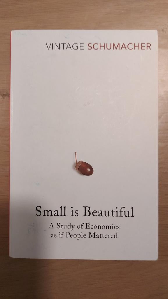 Small is Beautiful - E.F. Schumacher, Ophalen of Verzenden, Gelezen, Economie en Marketing, E.F. Schumacher
