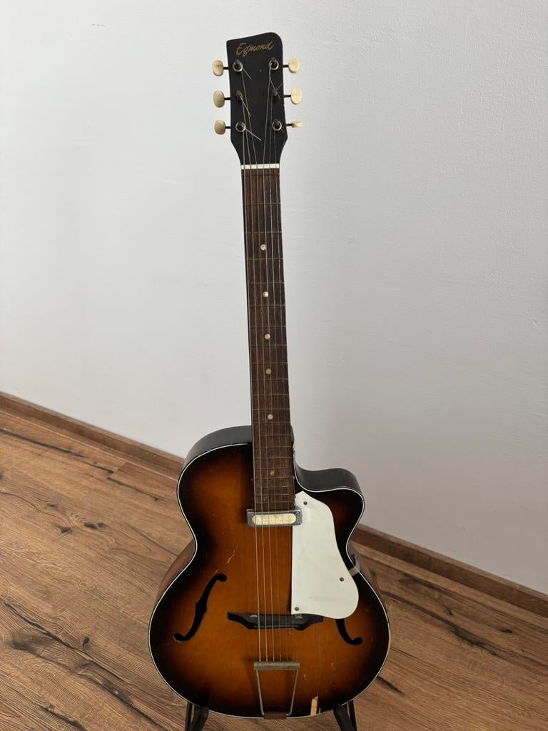 Egmond gitaar, Ophalen, Gebruikt, Hollow body, Overige merken