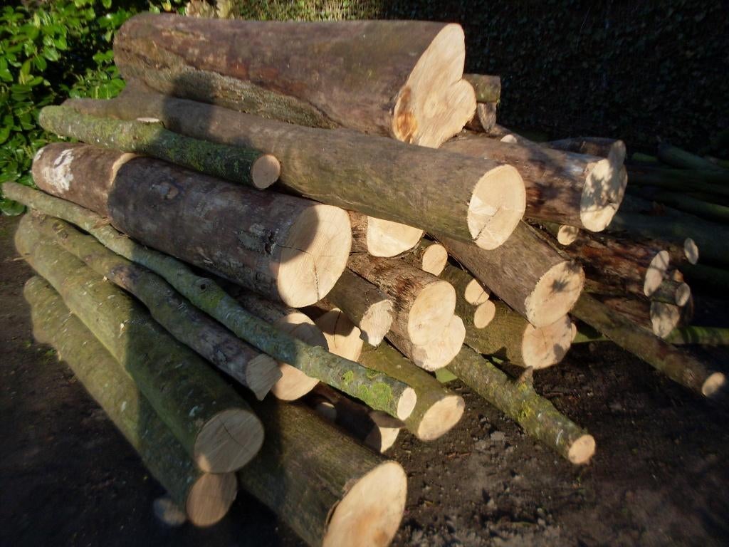 Haardhout., Tuin en Terras, Haardhout, 3 tot 6 m³, Ophalen, Essenhout, Stammen