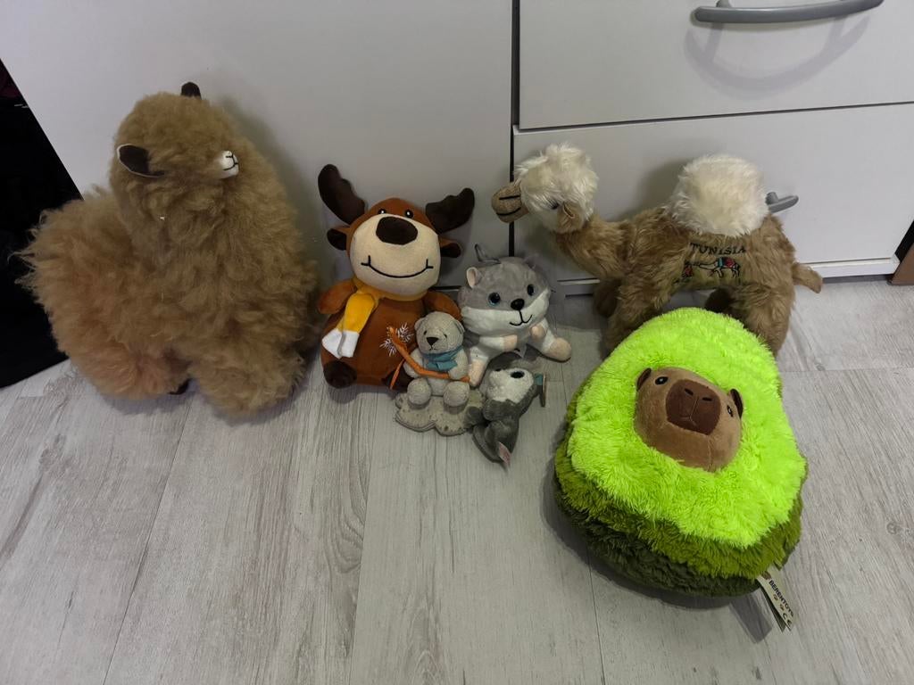 Verschillende knuffels, Ophalen of Verzenden, Nieuw, Overige typen