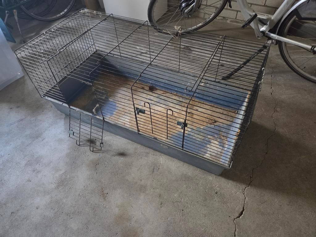 Groot konijnenhok - gratis, Kooi, Ophalen of Verzenden, Konijn, 110 cm of meer