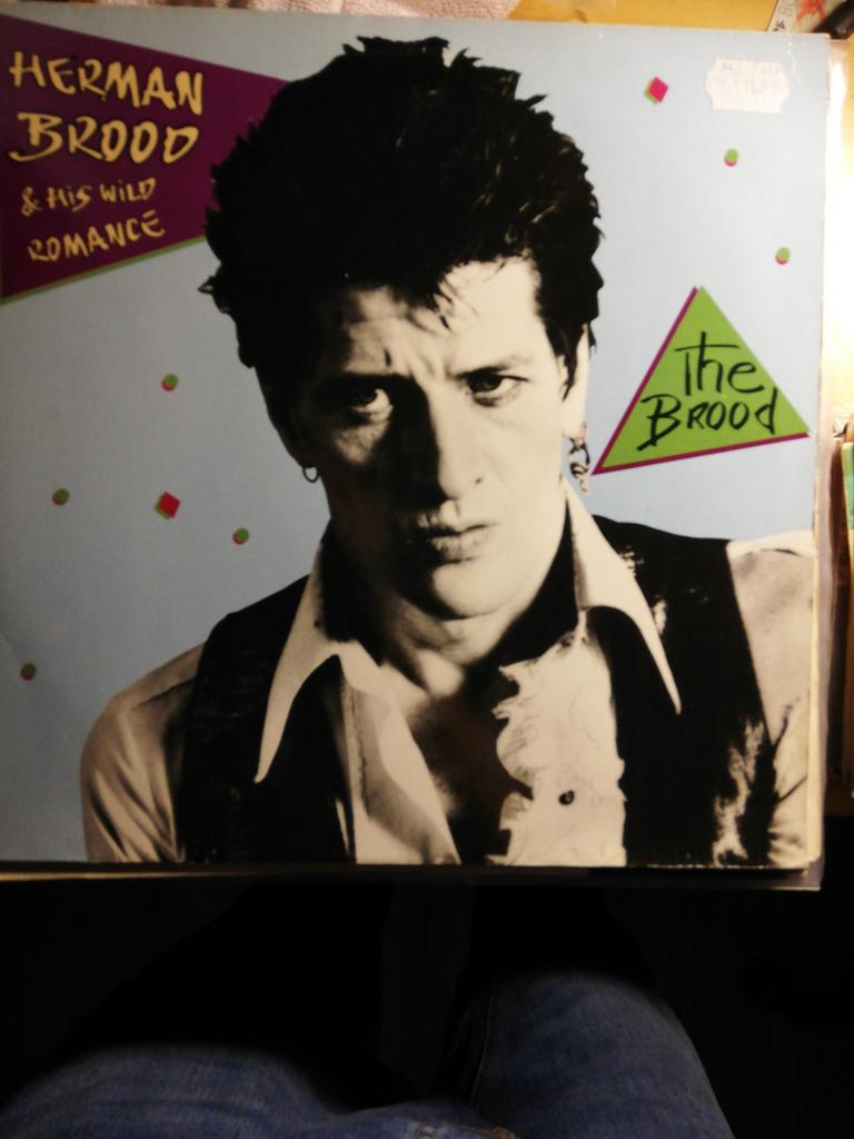 Herman Brood & His Wild Romance - The Brood LP, Ophalen of Verzenden, Gebruikt, 12 inch, Rock-'n-Roll
