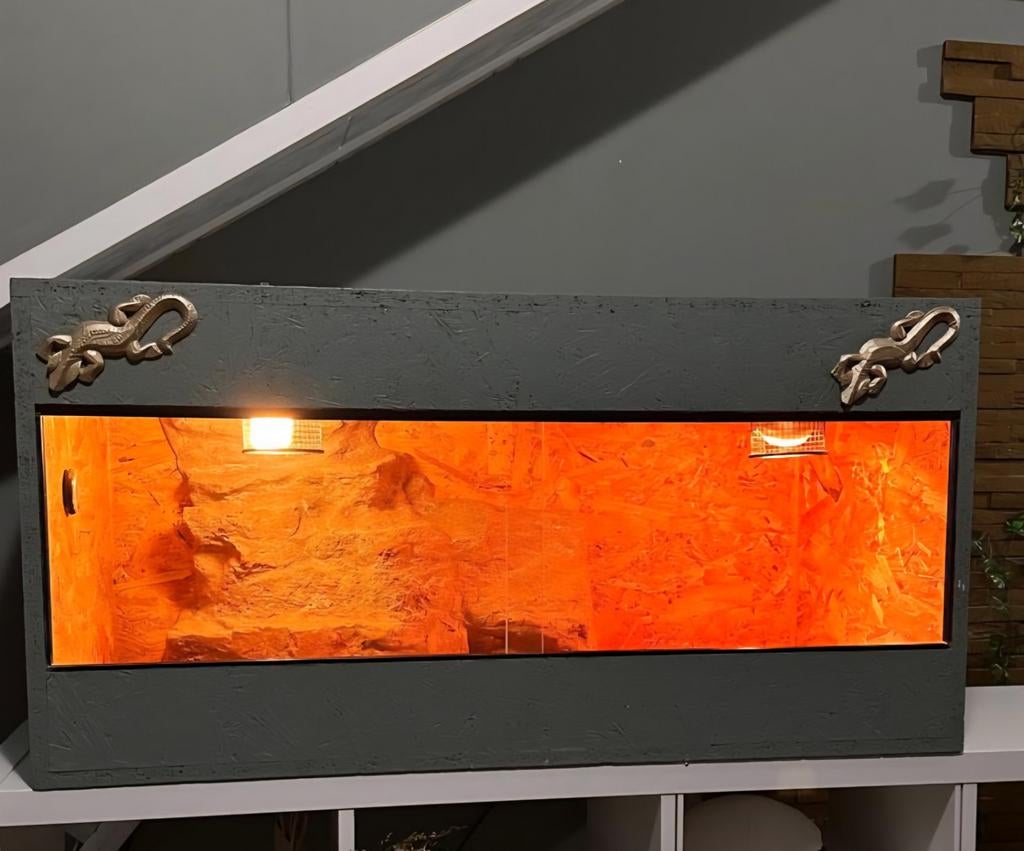 Terrarium 100x50x50, Dieren en Toebehoren, Reptielen en Amfibieën | Toebehoren, Zo goed als nieuw, Ophalen