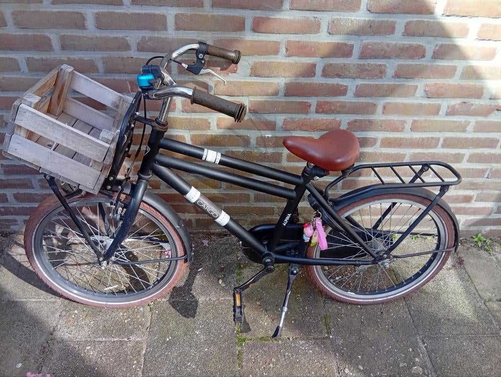 Cargo fiets met krat -20 inches, Ophalen, Gebruikt, Overige merken
