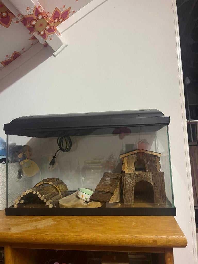 hamster spullen, Dieren en Toebehoren, Ophalen, Overige typen