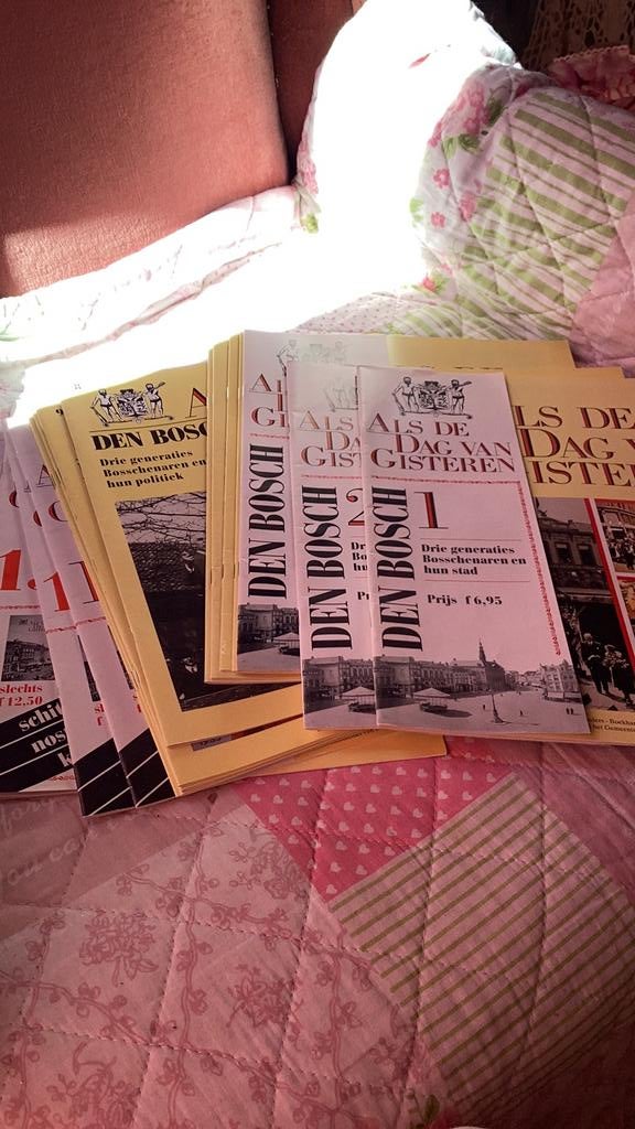 Den bosch boeken, Boeken, Geschiedenis | Stad en Regio, Verzenden, Zo goed als nieuw