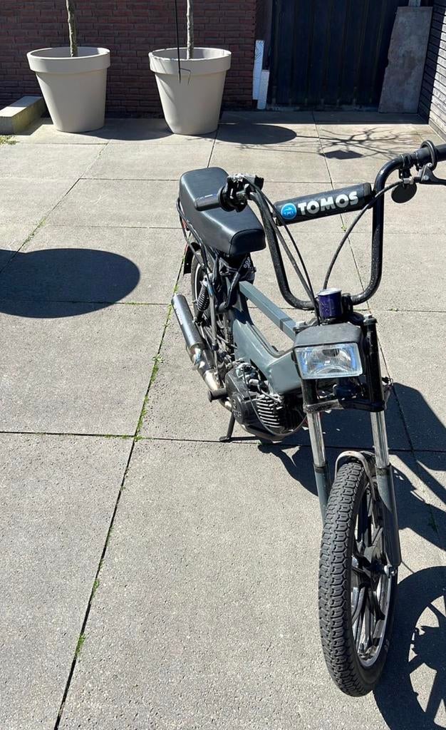 Snelle Tomos (63 km/h) – Veel nieuwe onderdelen!, Ophalen, Zo goed als nieuw, Quadro