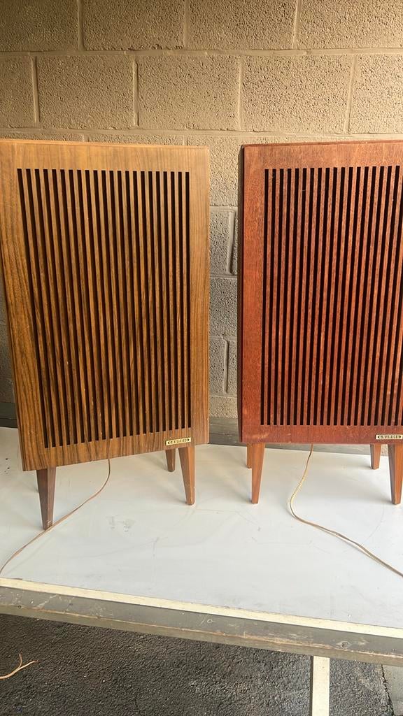 Vintage Grundig geluid boxen in hout - Afhalen Dendermonde, Overige merken, Gebruikt, Ophalen of Verzenden, Minder dan 60 watt