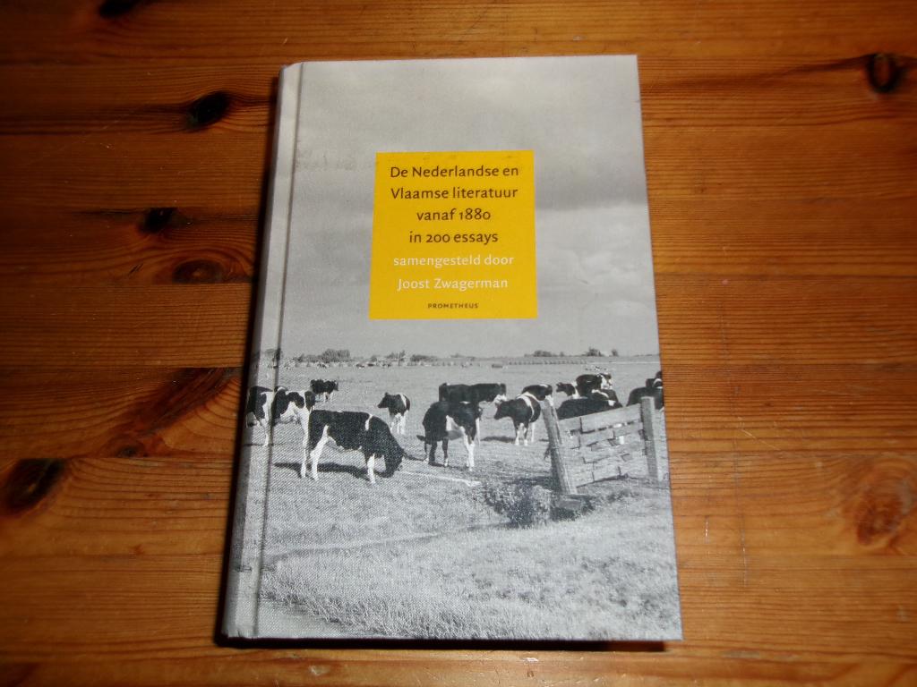 De nederlandse en vlaamse literatuur vanaf 1880, Ophalen of Verzenden, Zo goed als nieuw