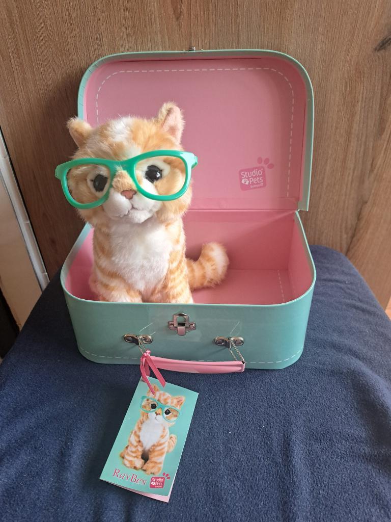 Knuffelkat kater Studio Pets, Ophalen of Verzenden, Nieuw, Overige typen