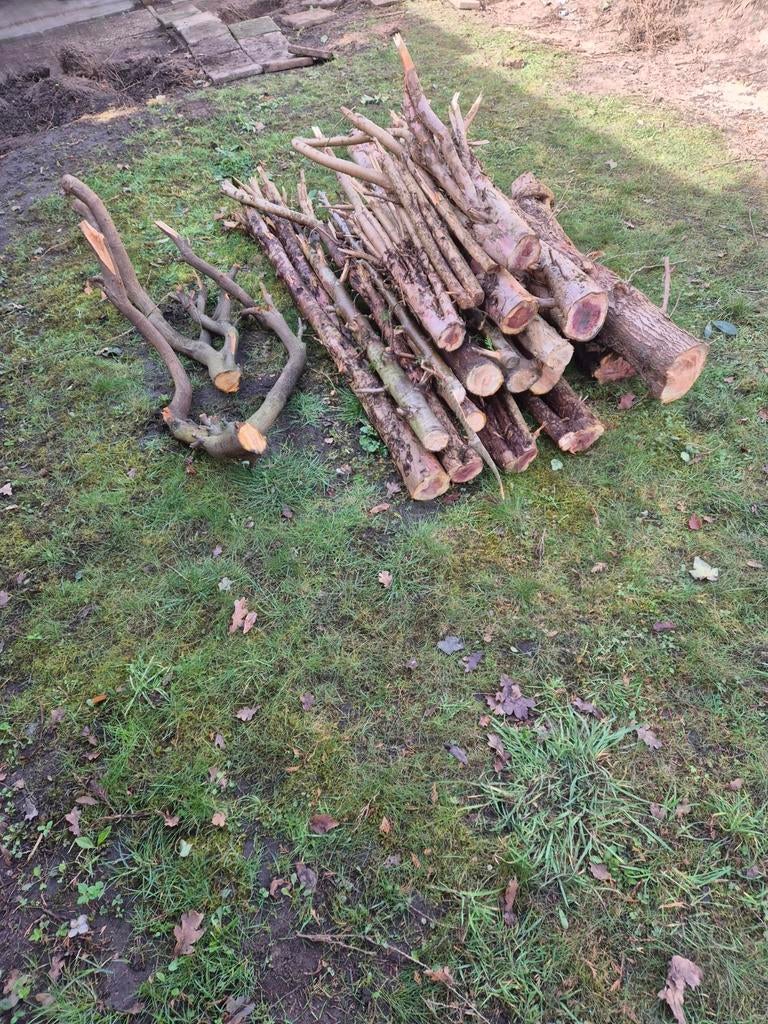 Gratis ophalen brandhout, Tuin en Terras, Haardhout, Minder dan 3 m³, Ophalen