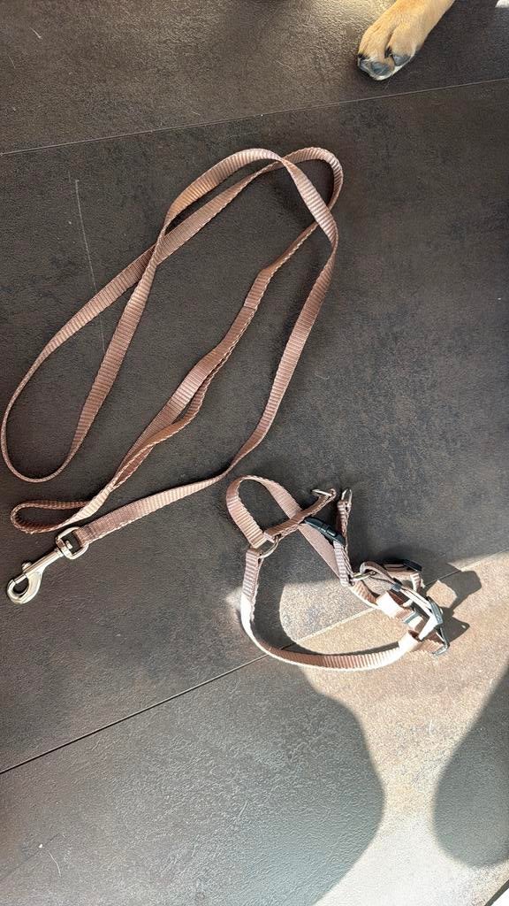 Tuig, halsband, en riem, Dieren en Toebehoren, Ophalen of Verzenden, Zo goed als nieuw, Hondenriem