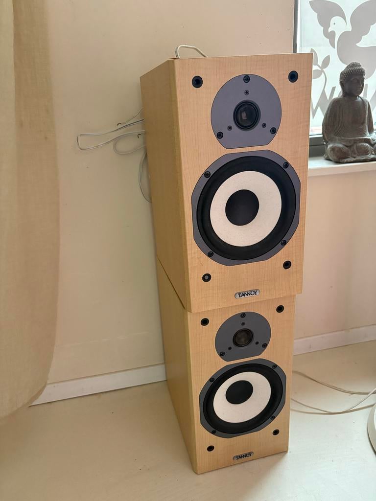 Tannoy passieve speakers, Gebruikt, 120 watt of meer, Front, Rear of Stereo speakers, Ophalen