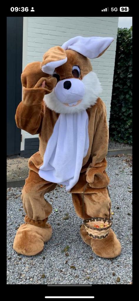 Paashaas pak 2e paasdag nog mogelijkheden huur 30,- paashaas, Ophalen, Zo goed als nieuw