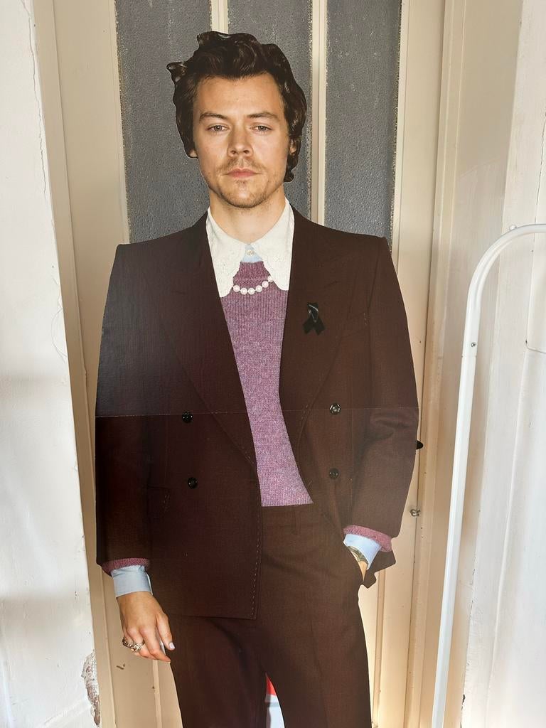Harry Styles cardboard cutout, Ophalen, Zo goed als nieuw