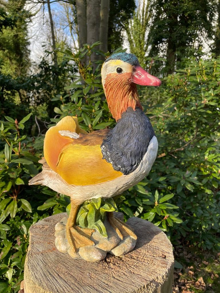 Mandarijn eend, vijver, tuin, gazon, boerderij 40cm, Tuin en Terras, Tuinbeelden, Ophalen, Nieuw, Kunststof, Dierenbeeld