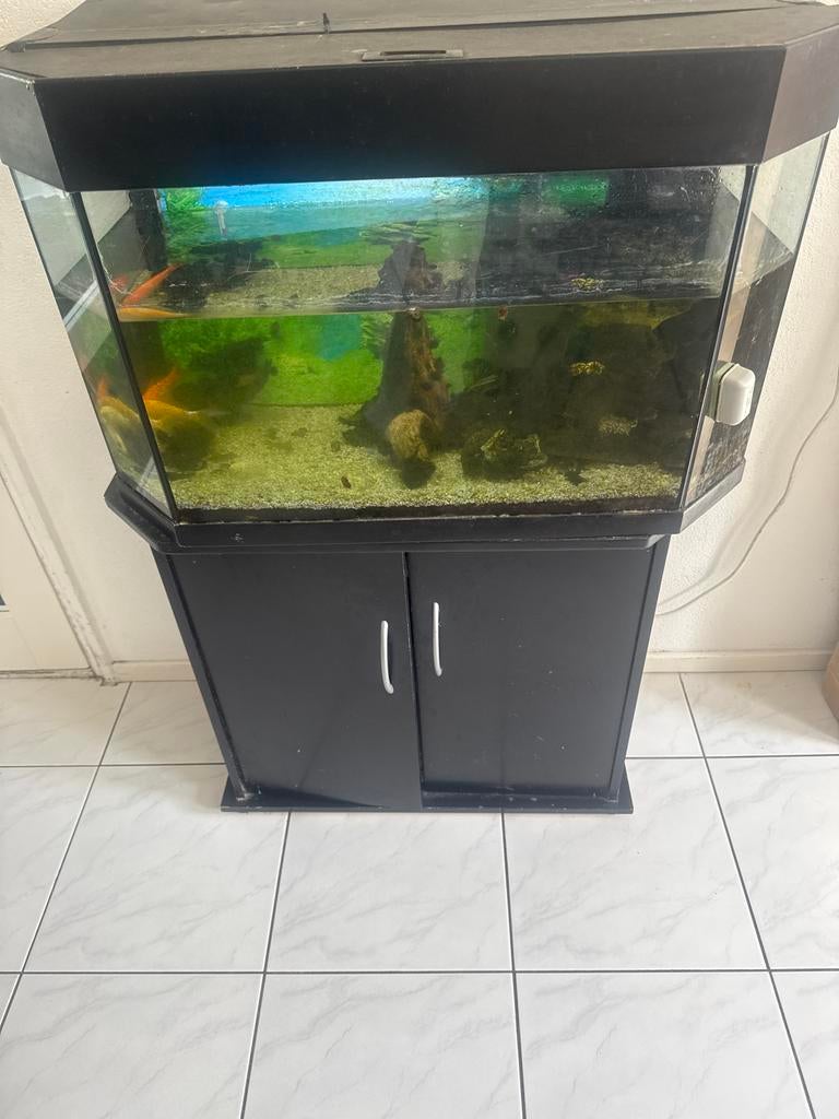 Aquarium, Ophalen of Verzenden, Leeg aquarium