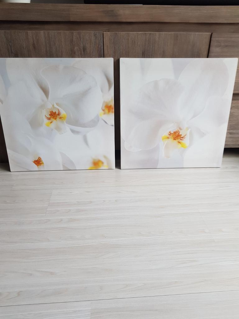 Set van 2 mooie grote schilderijen, nieuw., Ophalen, 50 tot 75 cm, Nieuw, Schilderij