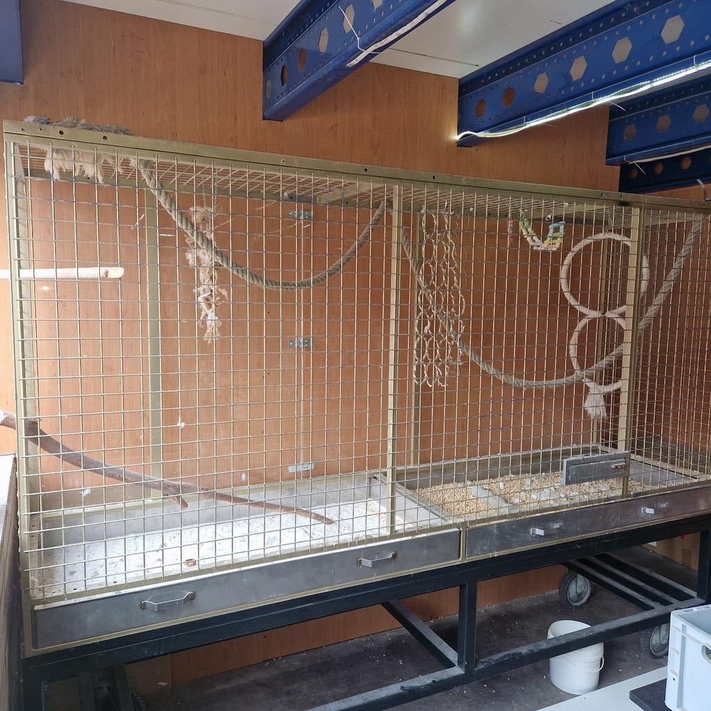 Papagaaien kooi groot, Ophalen, Zo goed als nieuw, Metaal, Vogelkooi