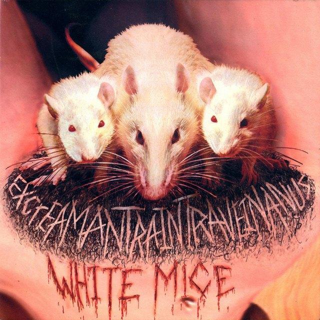 CD White Mice – EXcreaMaNTRaINTRaVEINaNUS, Cd's en Dvd's, Cd's | Hardrock en Metal, Zo goed als nieuw, Ophalen of Verzenden