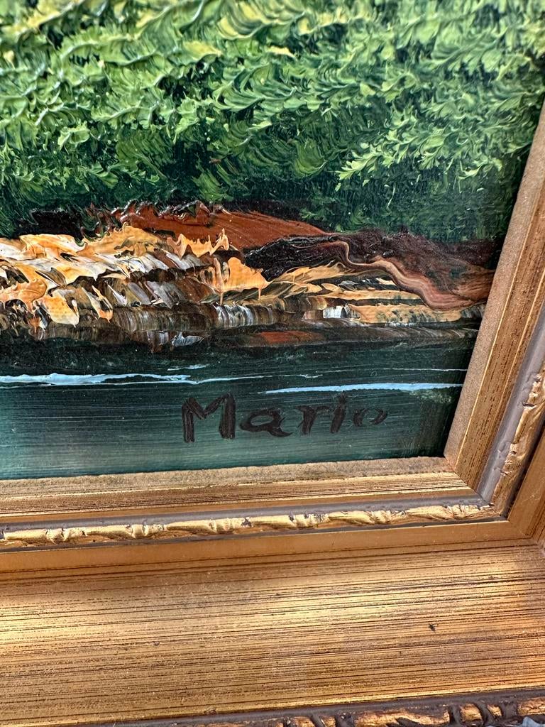Schilderij op doek, gesigneerd Mario, Antiek en Kunst, Ophalen of Verzenden