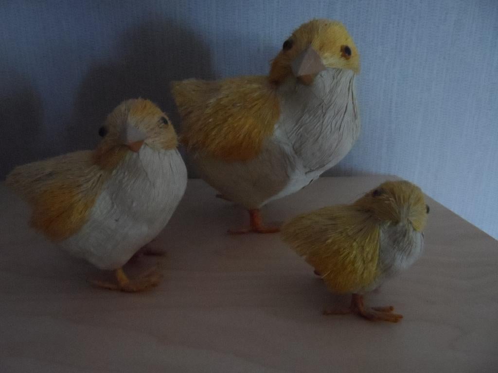 KUIKENTJES, Ophalen of Verzenden, Zo goed als nieuw