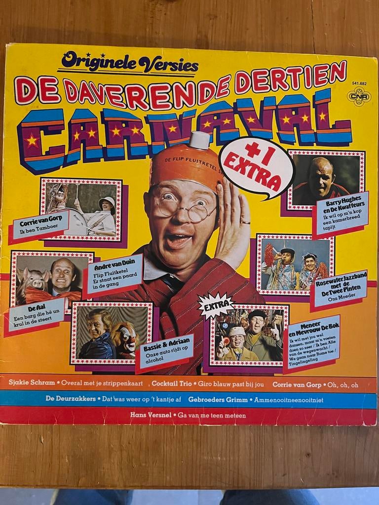 De Daverende Dertien Carnaval +1 - verzamel lp, Ophalen of Verzenden, Levenslied of Smartlap