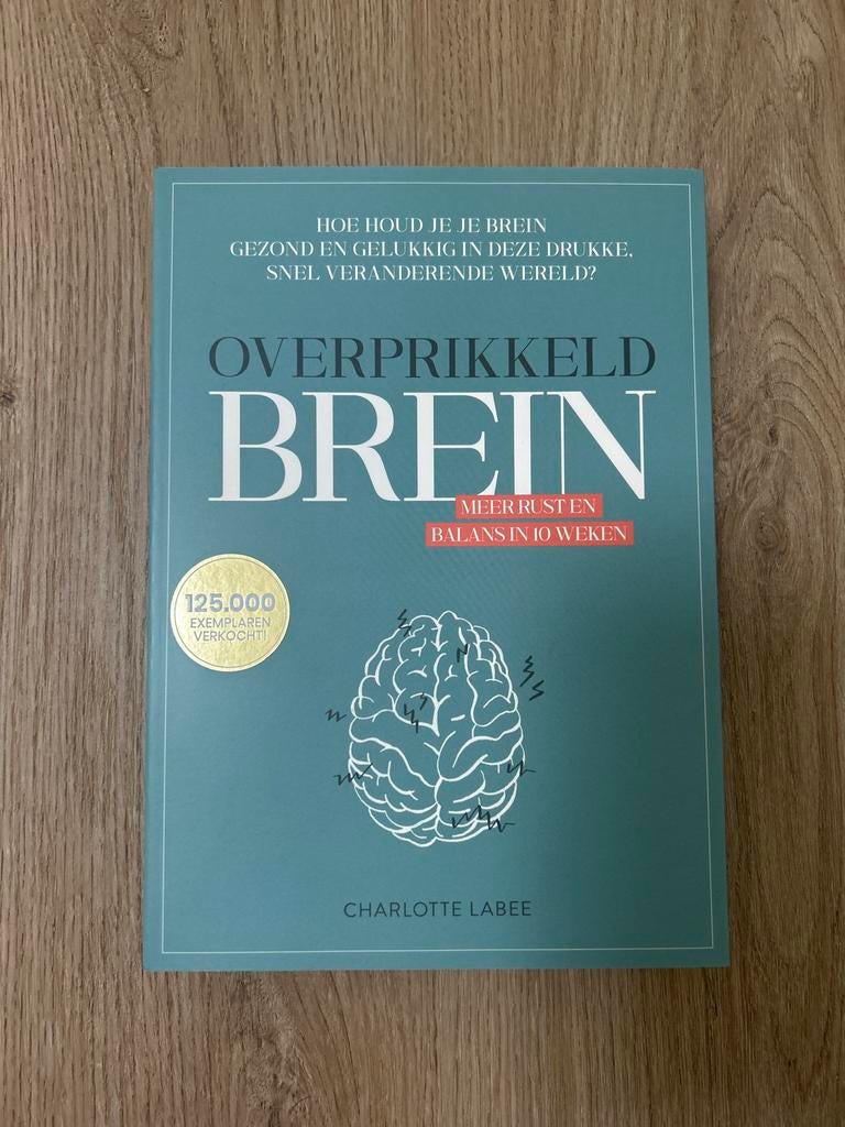 Overprikkeld Brein - Meer Rust en Balans, Ophalen of Verzenden, Nieuw, Klinische psychologie