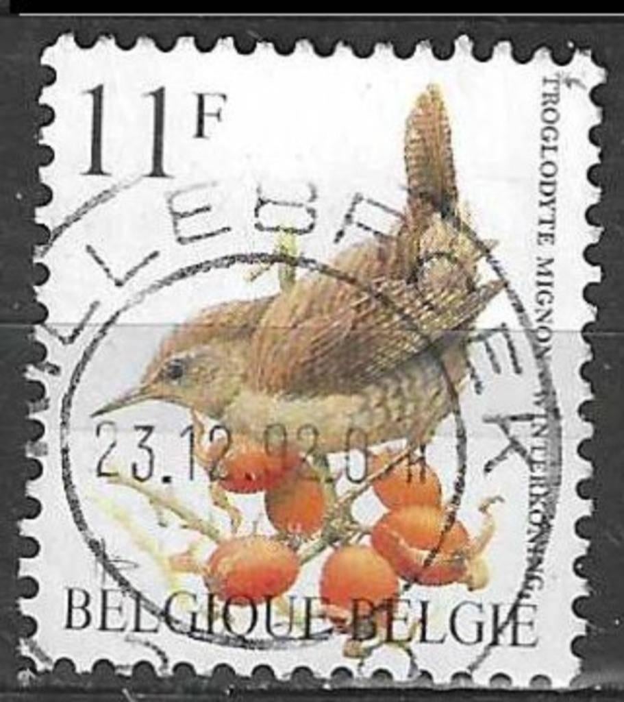 Belgie 1992 - Yvert/OBP 2449 - Buzin - Winterkoninkje (ST), Verzenden, Gestempeld, Voertuigen
