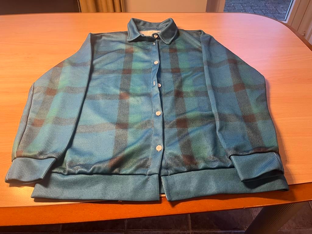 Geruite bloes, Ophalen of Verzenden, Nieuw, Maat 36 (S), Overige kleuren