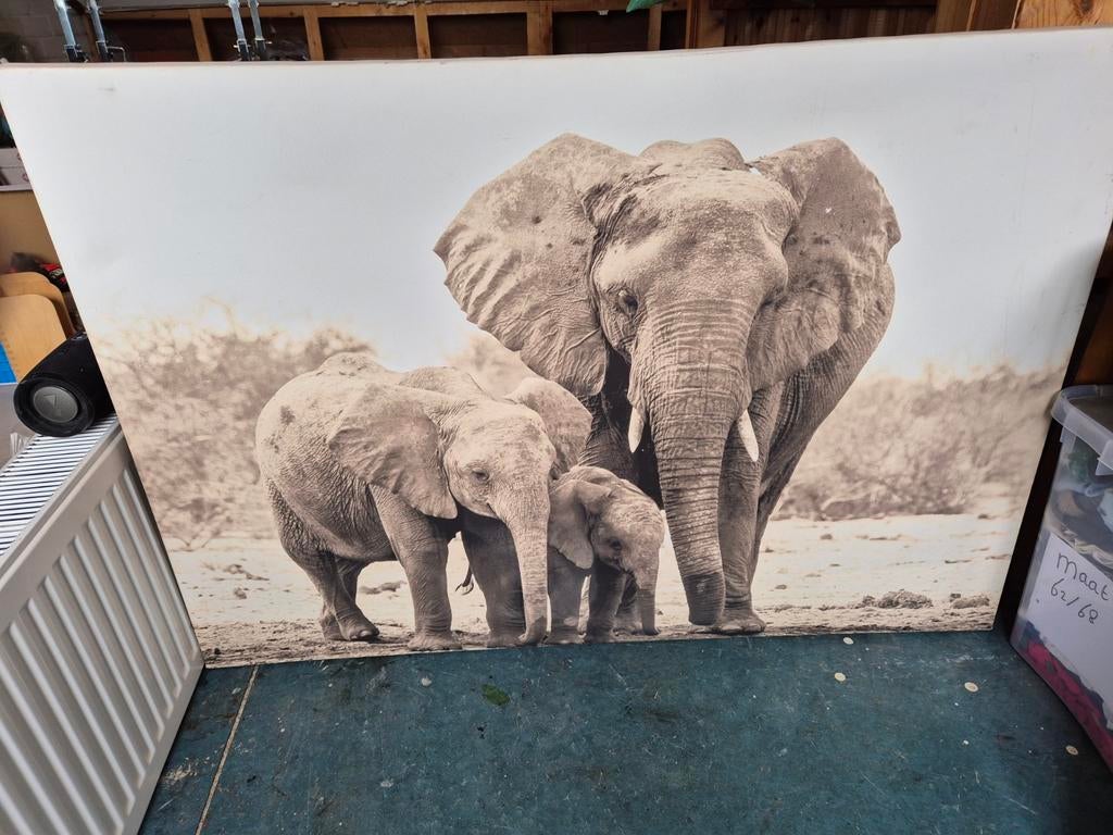 Olifanten Familie Print, Ophalen, Oorspronkelijke maker, 75 tot 100 cm, 75 cm of meer