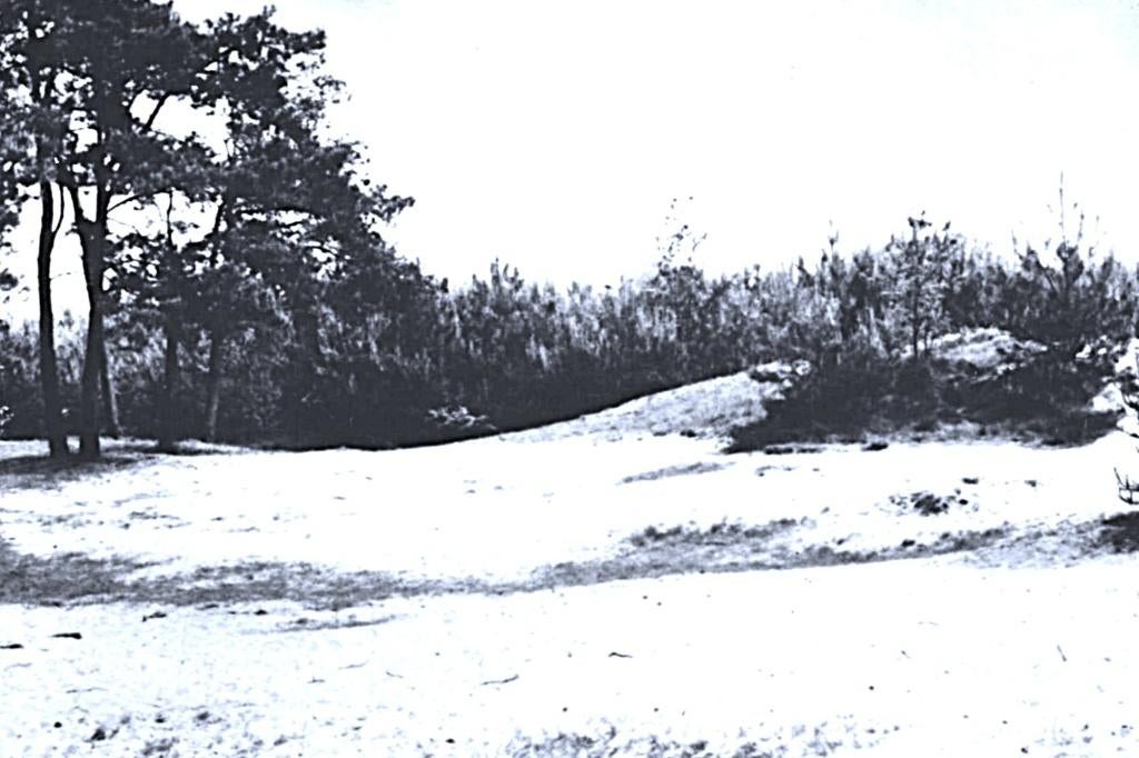 963763	Heeswijk	N B Bungalowpark	Wildhorst	Gelopen met zegel, Ophalen of Verzenden, 1960 tot 1980, Gelopen, Noord-Brabant